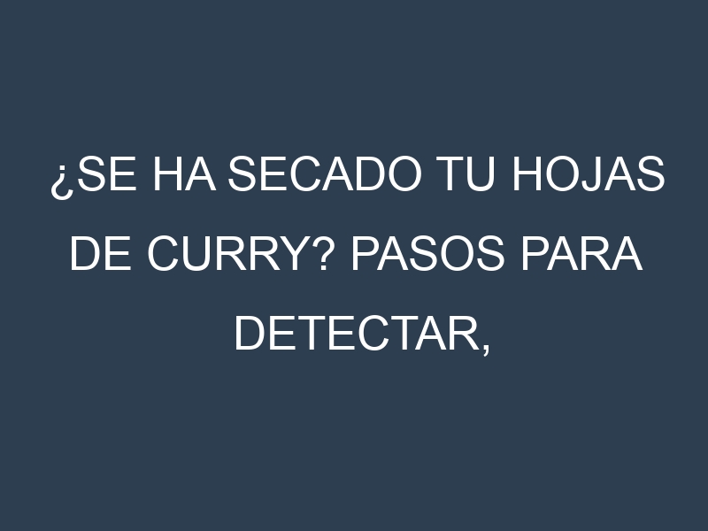 ¿Se ha secado tu Hojas de curry? Pasos para Detectar, Corregir y Prevenir.