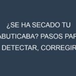¿Se ha secado tu Jabuticaba? Pasos para Detectar, Corregir y Prevenir.