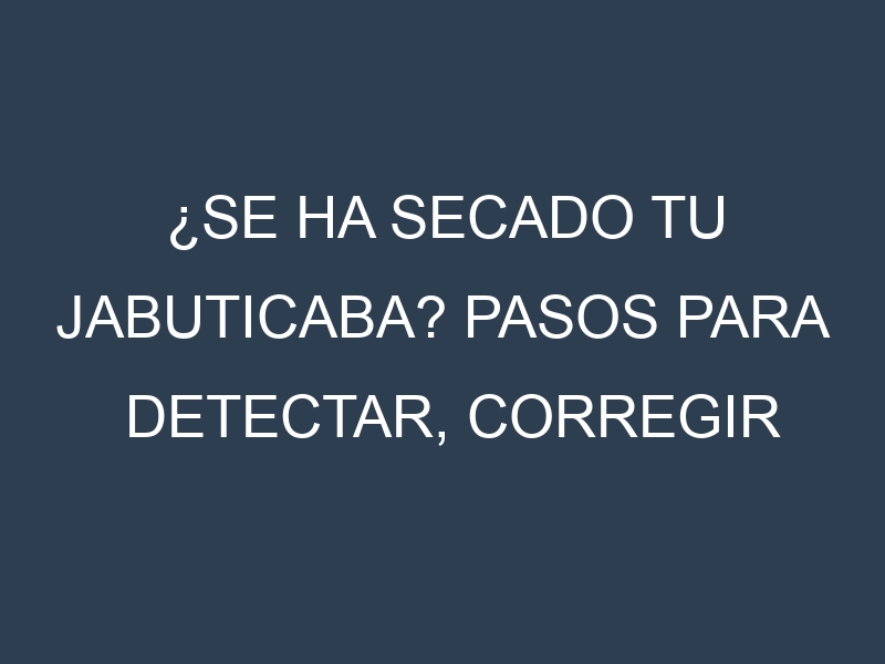 ¿Se ha secado tu Jabuticaba? Pasos para Detectar, Corregir y Prevenir.
