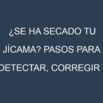¿Se ha secado tu Jícama? Pasos para Detectar, Corregir y Prevenir.