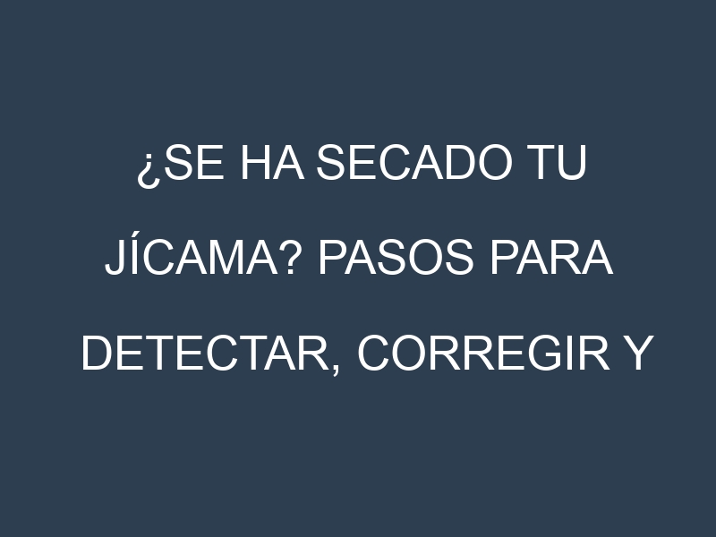 ¿Se ha secado tu Jícama? Pasos para Detectar, Corregir y Prevenir.