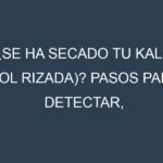 ¿Se ha secado tu Kale (col rizada)? Pasos para Detectar, Corregir y Prevenir.