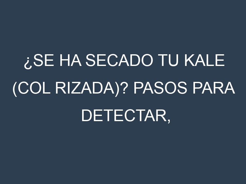 ¿Se ha secado tu Kale (col rizada)? Pasos para Detectar, Corregir y Prevenir.