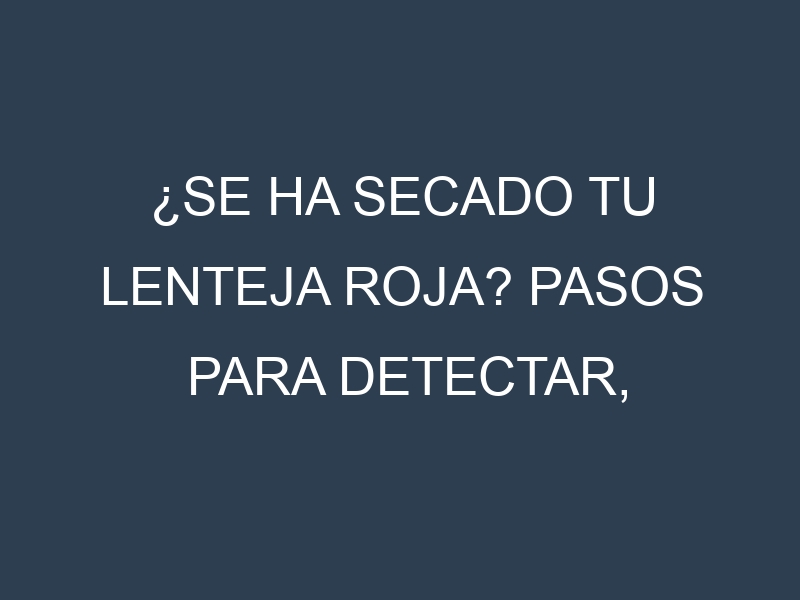 ¿Se ha secado tu Lenteja roja? Pasos para Detectar, Corregir y Prevenir.