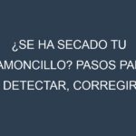 ¿Se ha secado tu Mamoncillo? Pasos para Detectar, Corregir y Prevenir.