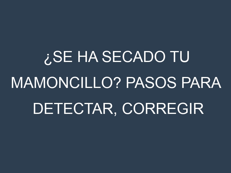 ¿Se ha secado tu Mamoncillo? Pasos para Detectar, Corregir y Prevenir.