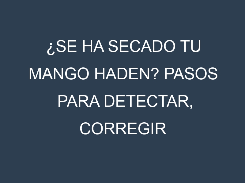 ¿Se ha secado tu Mango Haden? Pasos para Detectar, Corregir y Prevenir.