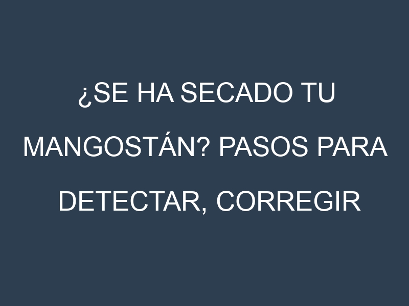 ¿Se ha secado tu Mangostán? Pasos para Detectar, Corregir y Prevenir.