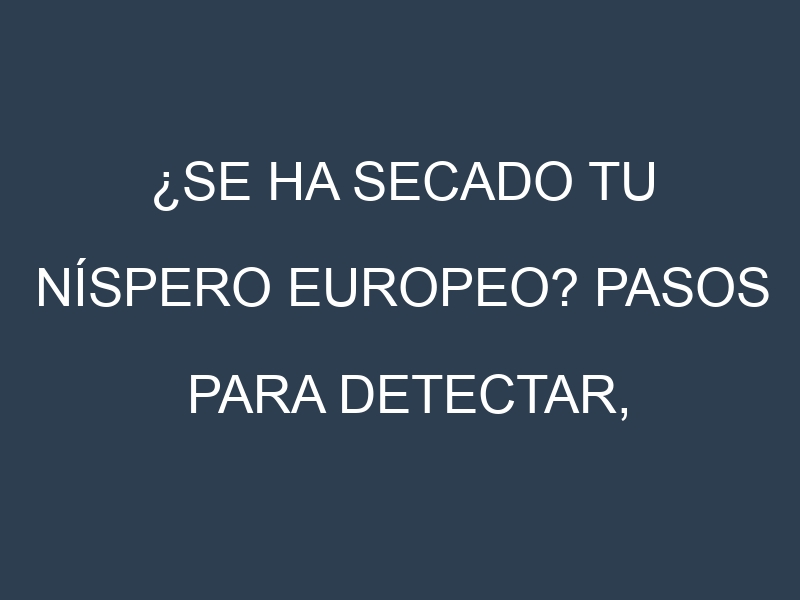 ¿Se ha secado tu Níspero europeo? Pasos para Detectar, Corregir y Prevenir.