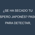 ¿Se ha secado tu Níspero japonés? Pasos para Detectar, Corregir y Prevenir.