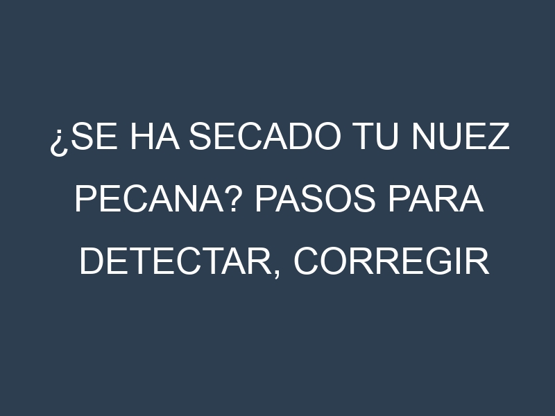 ¿Se ha secado tu Nuez pecana? Pasos para Detectar, Corregir y Prevenir.