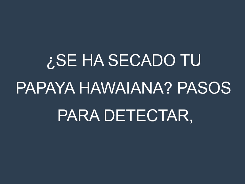 ¿Se ha secado tu Papaya hawaiana? Pasos para Detectar, Corregir y Prevenir.