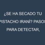 ¿Se ha secado tu Pistacho iraní? Pasos para Detectar, Corregir y Prevenir.