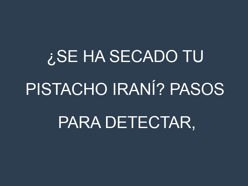 ¿Se ha secado tu Pistacho iraní? Pasos para Detectar, Corregir y Prevenir.