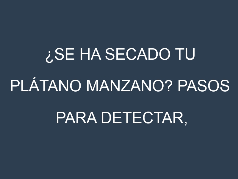¿Se ha secado tu Plátano Manzano? Pasos para Detectar, Corregir y Prevenir.