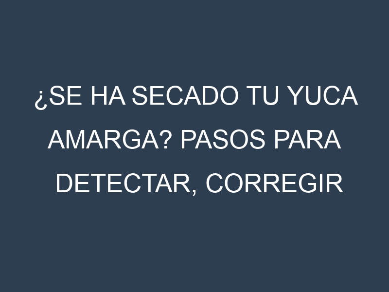 ¿Se ha secado tu Yuca amarga? Pasos para Detectar, Corregir y Prevenir.