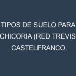 Tipos de suelo para Achicoria (Red Treviso, Castelfranco, Catalogna, Belgian Endive, Sugarloaf). Cómo ajustar las condiciones del suelo.