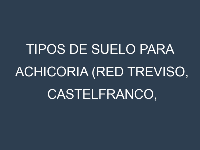 Tipos de suelo para Achicoria (Red Treviso, Castelfranco, Catalogna, Belgian Endive, Sugarloaf). Cómo ajustar las condiciones del suelo.