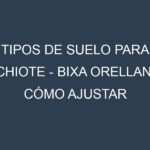 Tipos de suelo para Achiote – Bixa orellana. Cómo ajustar las condiciones del suelo.