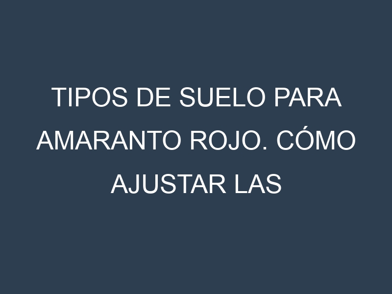 Tipos de suelo para Amaranto rojo. Cómo ajustar las condiciones del suelo.