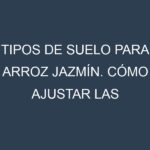 Tipos de suelo para Arroz jazmín. Cómo ajustar las condiciones del suelo.
