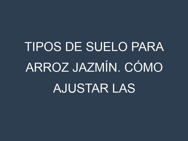 Tipos de suelo para Arroz jazmín. Cómo ajustar las condiciones del suelo.