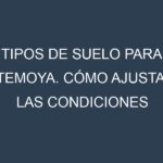 Tipos de suelo para Atemoya. Cómo ajustar las condiciones del suelo.