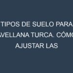 Tipos de suelo para Avellana turca. Cómo ajustar las condiciones del suelo.