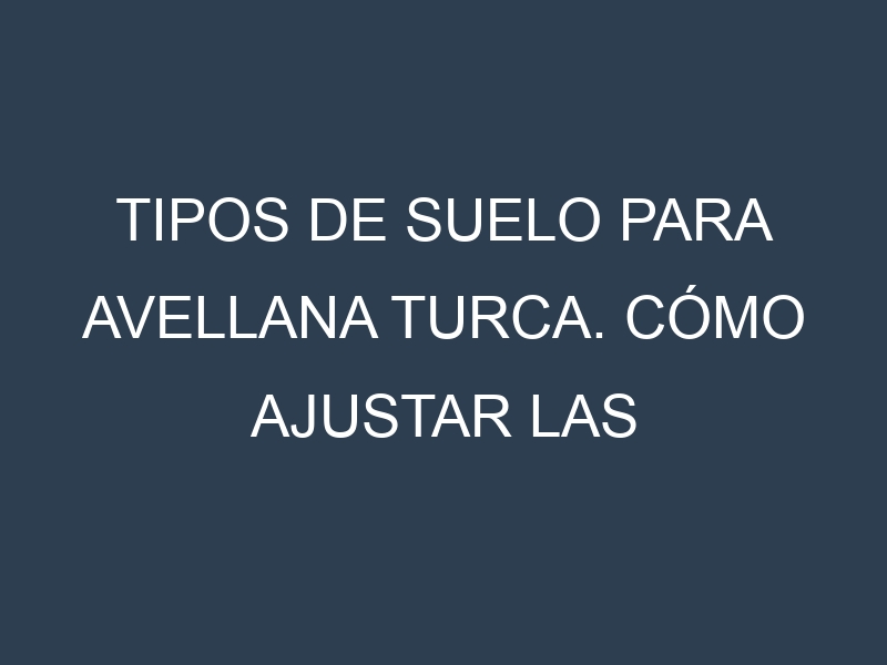 Tipos de suelo para Avellana turca. Cómo ajustar las condiciones del suelo.