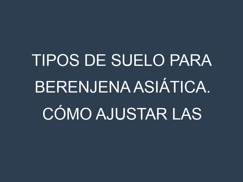 Tipos de suelo para Berenjena asiática. Cómo ajustar las condiciones del suelo.
