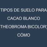 Tipos de suelo para Cacao blanco (Theobroma bicolor). Cómo ajustar las condiciones del suelo.