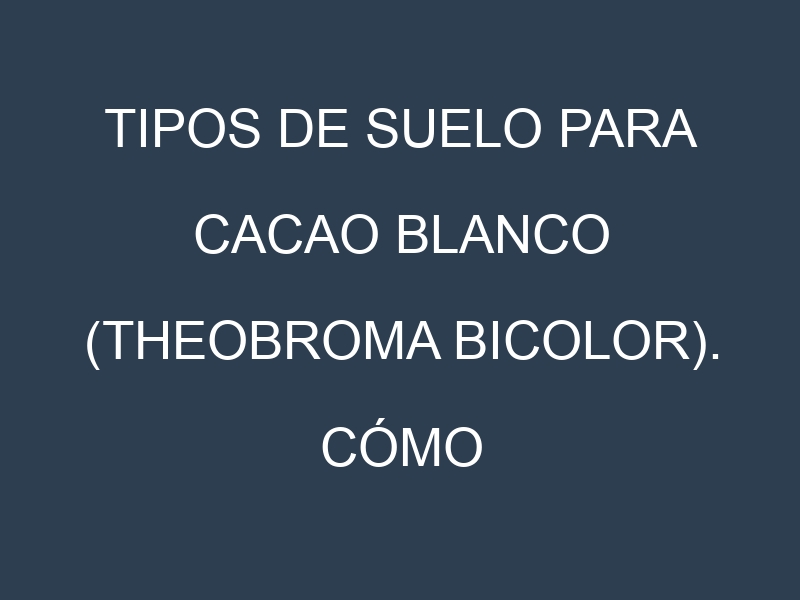 Tipos de suelo para Cacao blanco (Theobroma bicolor). Cómo ajustar las condiciones del suelo.