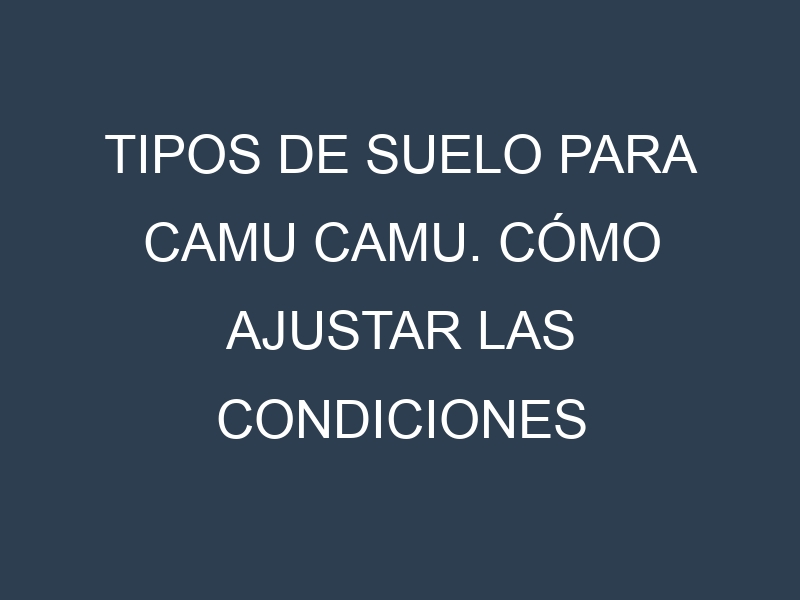Tipos de suelo para Camu Camu. Cómo ajustar las condiciones del suelo.