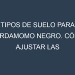 Tipos de suelo para Cardamomo negro. Cómo ajustar las condiciones del suelo.