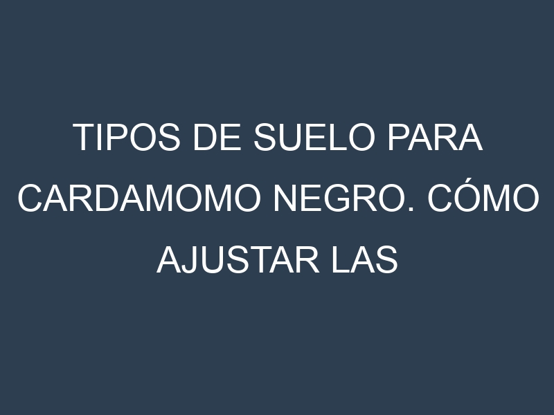 Tipos de suelo para Cardamomo negro. Cómo ajustar las condiciones del suelo.