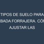 Tipos de suelo para Cebada forrajera. Cómo ajustar las condiciones del suelo.