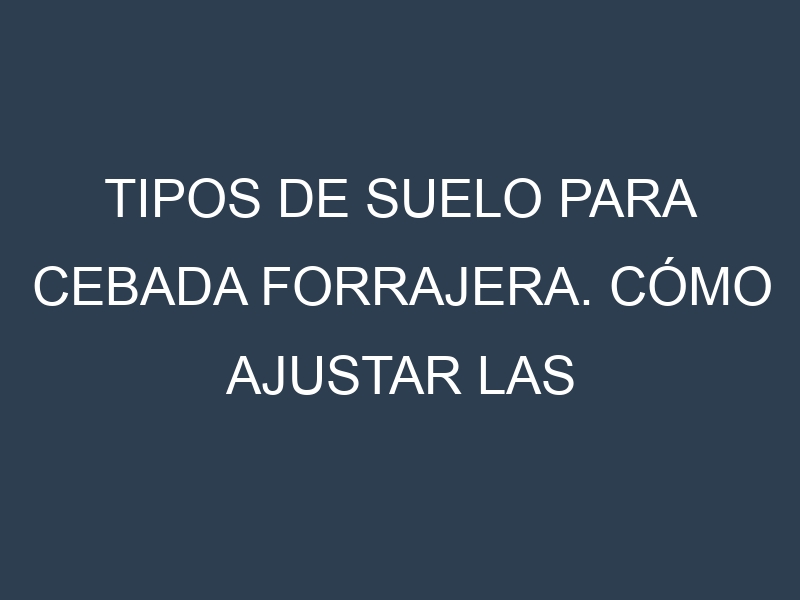 Tipos de suelo para Cebada forrajera. Cómo ajustar las condiciones del suelo.