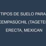 Tipos de suelo para Cempasúchil (Tagetes erecta, Mexican marigold). Cómo ajustar las condiciones del suelo.
