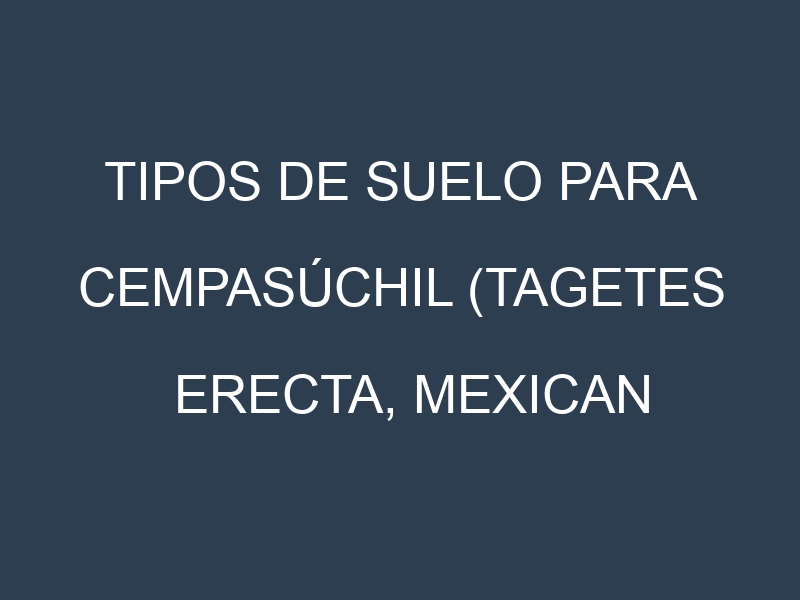 Tipos de suelo para Cempasúchil (Tagetes erecta, Mexican marigold). Cómo ajustar las condiciones del suelo.