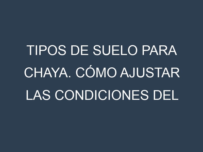Tipos de suelo para Chaya. Cómo ajustar las condiciones del suelo.