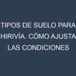 Tipos de suelo para Chirivía. Cómo ajustar las condiciones del suelo.