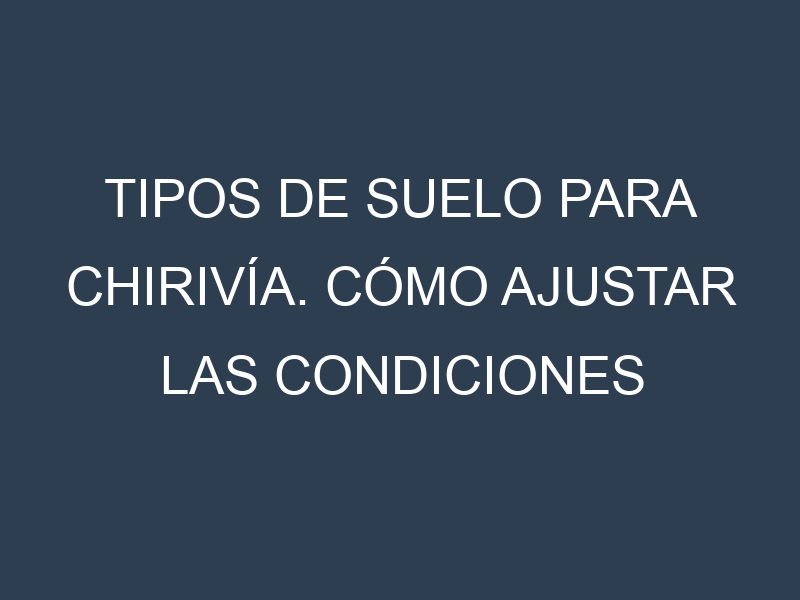 Tipos de suelo para Chirivía. Cómo ajustar las condiciones del suelo.