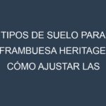 Tipos de suelo para Frambuesa Heritage. Cómo ajustar las condiciones del suelo.
