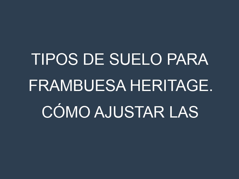 Tipos de suelo para Frambuesa Heritage. Cómo ajustar las condiciones del suelo.