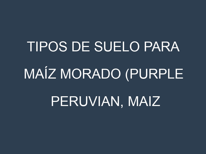 Tipos de suelo para Maíz morado (Purple Peruvian, Maiz Morado, Kculli, Black Aztec, Blue Corn). Cómo ajustar las condiciones del suelo.