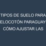 Tipos de suelo para Melocotón Paraguayo. Cómo ajustar las condiciones del suelo.