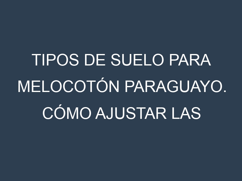 Tipos de suelo para Melocotón Paraguayo. Cómo ajustar las condiciones del suelo.