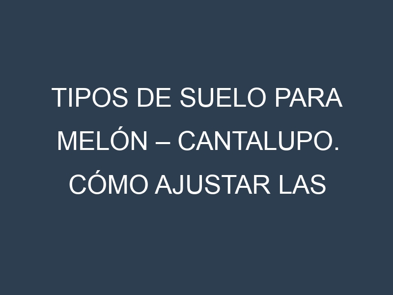 Tipos de suelo para Melón – Cantalupo. Cómo ajustar las condiciones del suelo.