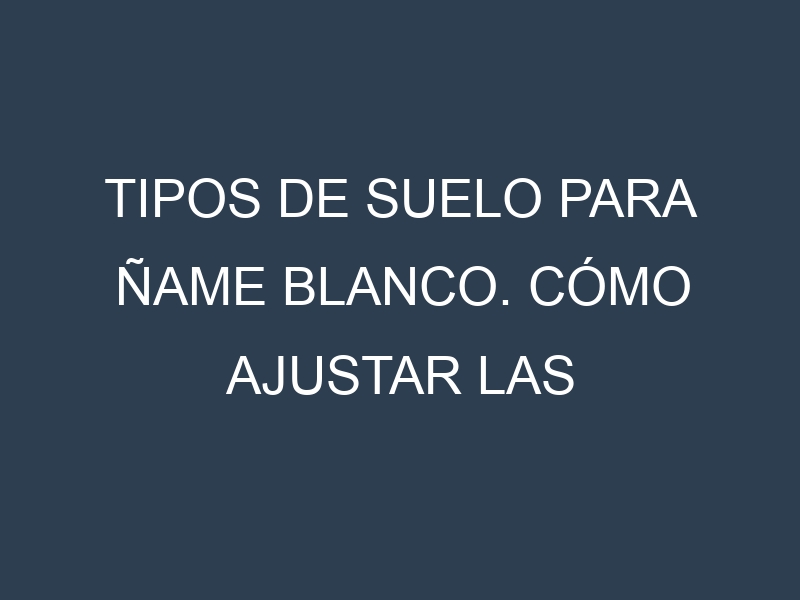 Tipos de suelo para Ñame blanco. Cómo ajustar las condiciones del suelo.