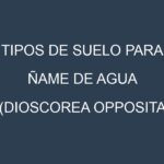 Tipos de suelo para Ñame de agua (Dioscorea opposita, Cinnamon Yam, Chinese Yam, Dioscorea polystachya, Dioscorea japonica). Cómo ajustar las condiciones del suelo.